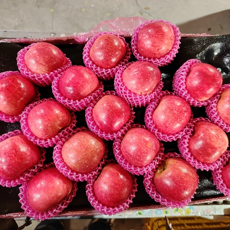 우수한 신선한 Jiguan 사과